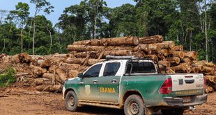 imagem de um carro do ibama