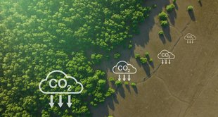 imagem da floresta amazônica e símbolos de gás carbônico