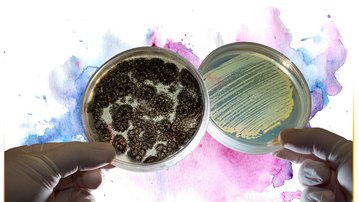 A microbiologia da beleza: SENAI e Grupo Boticário apostam em cosméticos mais sustentáveis