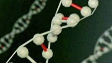 Biotecnologia: mapeamento genético revela dieta e exercício físico ideais