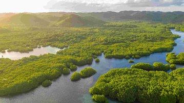 Nova exposição do SESI Lab traz a bioeconomia e o papel da indústria na conservação da natureza