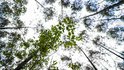 CNI reúne lideranças empresariais e governo no Rio de Janeiro para construir agenda da COP31