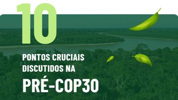 Leia mais Confira os 10 pontos discutidos na Pré-COP30