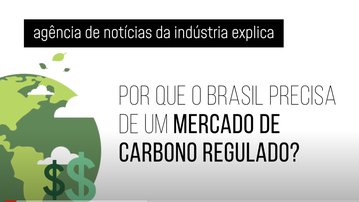 VÍDEO - Por que o mercado regulado de carbono pode ser uma boa para o Brasil?