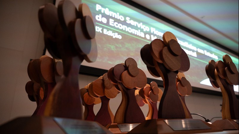 Inscrições para o Prêmio em Economia e Mercado Florestal vão até 22 de maio