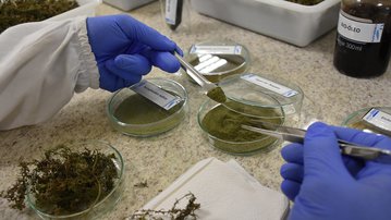 SENAI-MS conquista patente com biocombustível inovador e FIEMA fortalece indústria local