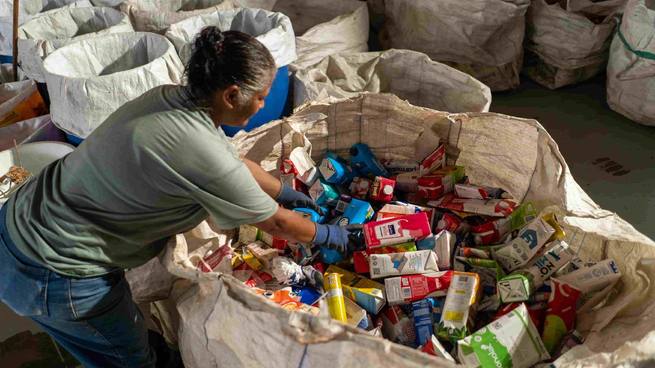 Instituto REVER estimula indústria