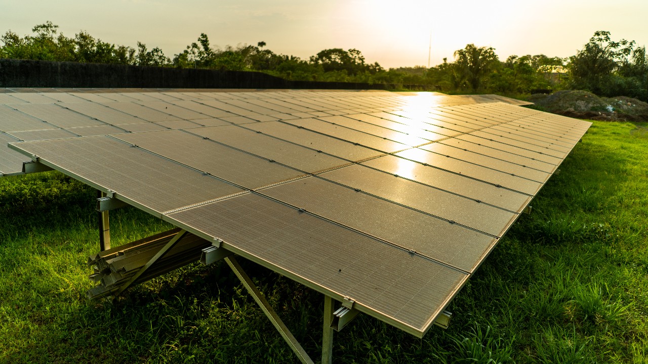 Mercado regulado de carbono e desenvolvimento sustentável