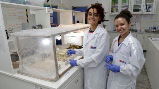 Estudantes do SESI são finalistas na Feira Brasileira de Jovens Cientistas