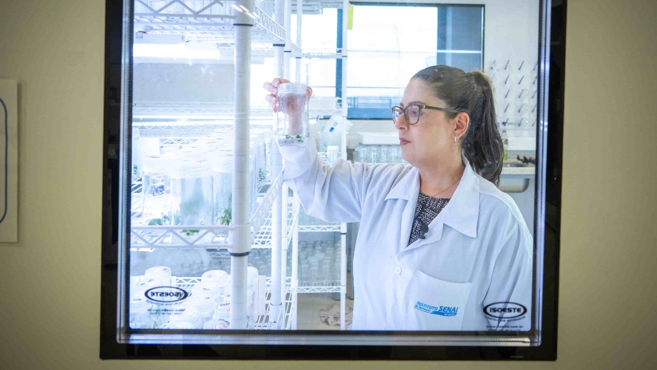 Inova Talentos oferece 252 oportunidades em PD&I com bolsas de até R$ 11 mil