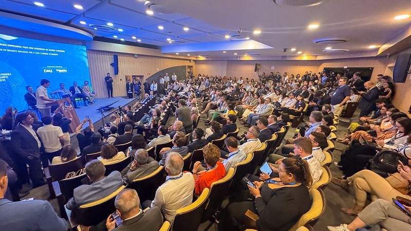 Como levar a floresta para o mercado? Setor privado aponta caminhos para escalar a bioeconomia