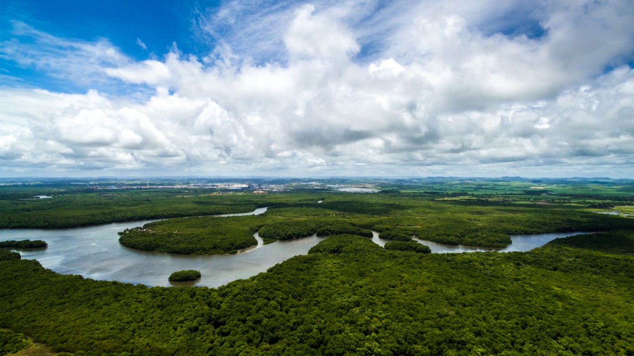 EXAME Fórum Amazônia discutirá oportunidades de negócios para Manaus