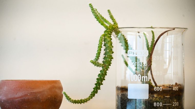 COP passou e agora? Indústria brasileira quer liderar a transição ecológica