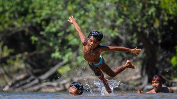 Fundo Amazônia define prioridades para a retomada de projetos ambientais