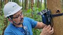 IoT: conheça a plataforma de monitoramento remoto de florestas