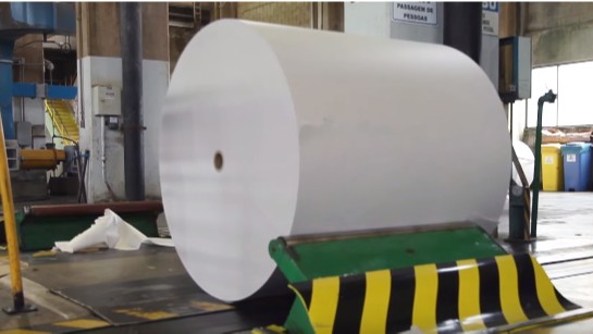 VÍDEO: O técnico em celulose e papel atua em todas as fases do processo industrial