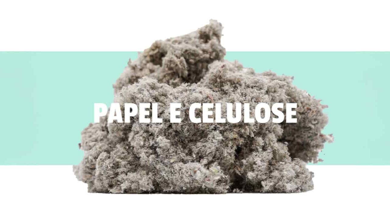 Descarbonização em cena | Papel e celulose