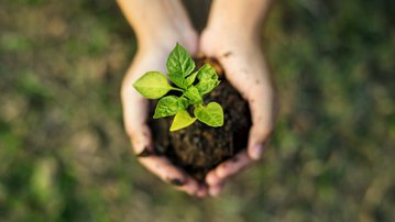 Leia mais FIEPE comemora Dia do Meio Ambiente