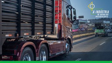 Fraude, pirataria e desmatamento: indústria quer tolerância zero ao mercado ilícito
