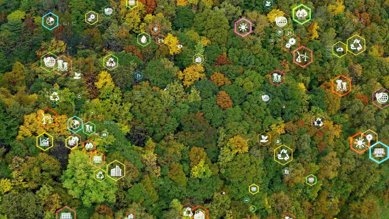 Pacto Global na ONU: equidade de discursos e o fim da sustentabilidade seletiva