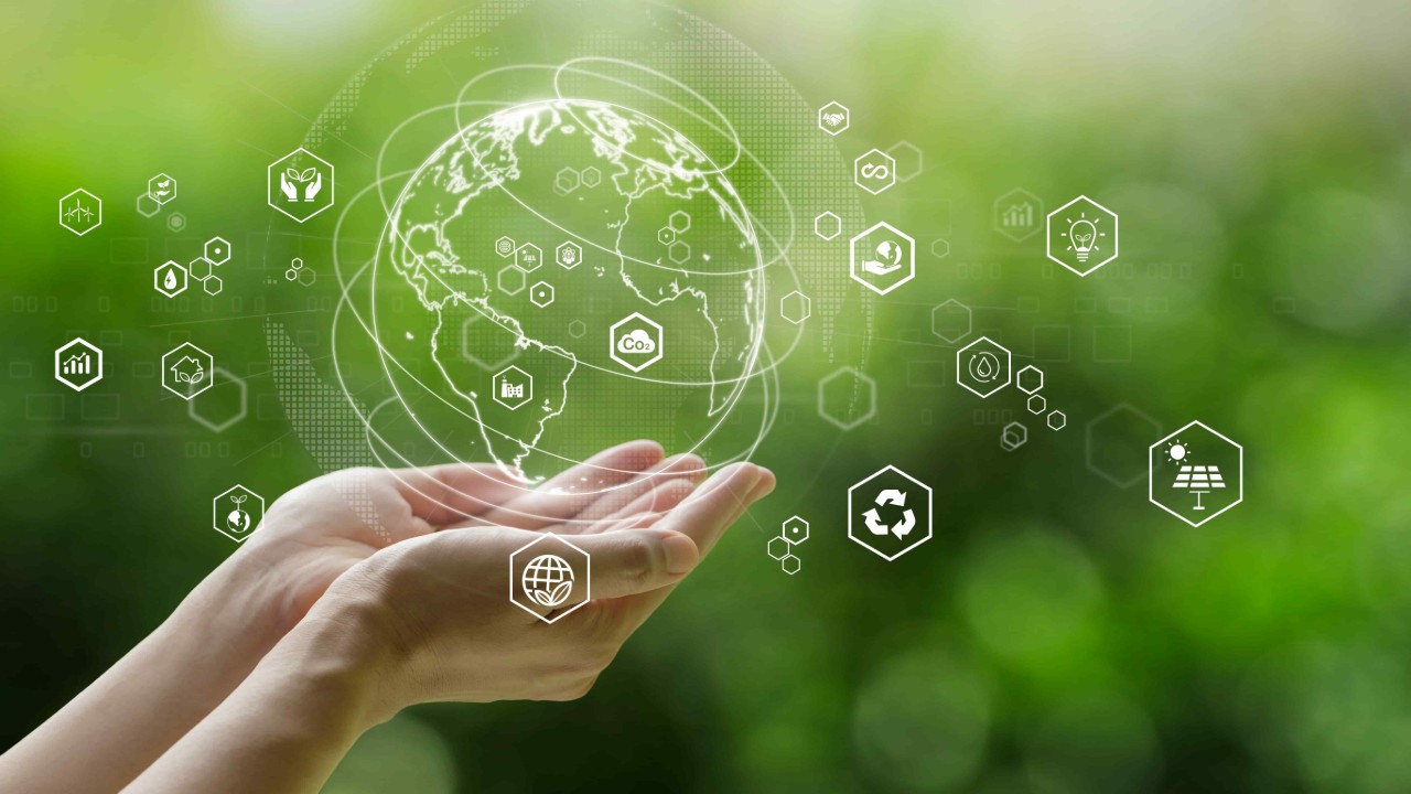 Uma aliança global pela sustentabilidade