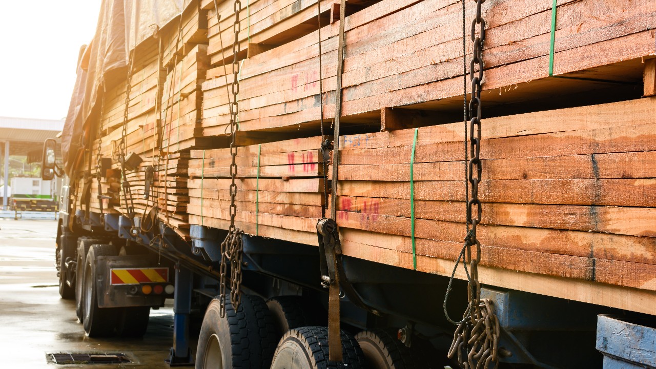 Ferramenta do Ibama traz mais transparência ao comércio de produtos madeireiros