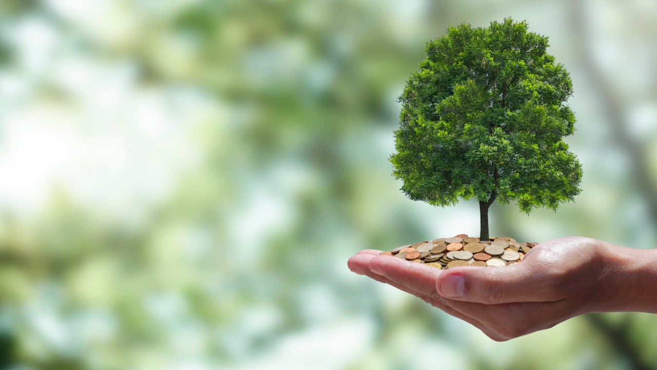 Mecanismo de Desenvolvimento Sustentável pode gerar 70 mil empregos em dez anos