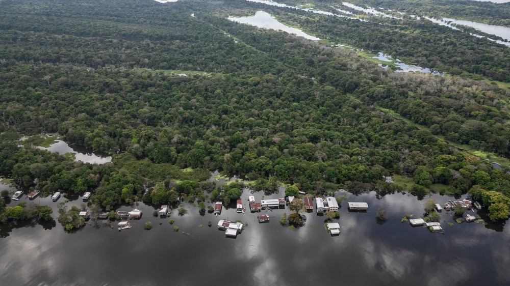 Concessão florestal da Gleba Castanho promove conservação e desenvolvimento da Amazônia