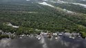 Concessão florestal da Gleba Castanho promove conservação e desenvolvimento da Amazônia