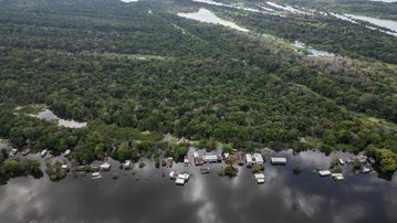 Concessão florestal da Gleba Castanho promove conservação e desenvolvimento da Amazônia