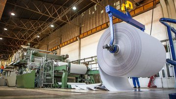 Conheça a indústria brasileira de celulose e papel
