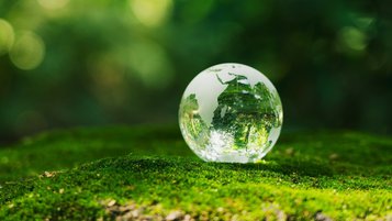 Pré-COP31: o papel do setor privado na agenda de clima