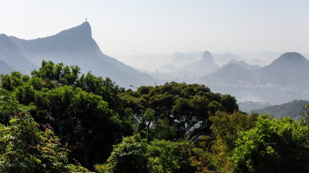 CNI promove encontro estratégico rumo à COP17 da Biodiversidade
