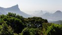 CNI promove encontro estratégico rumo à COP17 da Biodiversidade