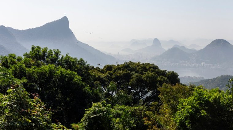 CNI promove encontro estratégico rumo à COP17 da Biodiversidade