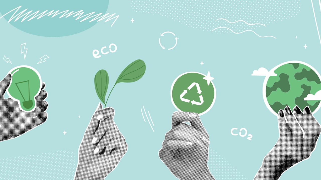 A Ajuda Tá Aqui: como criar boas práticas sustentáveis na pequena empresa