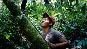Amazônia pode ser transformada com mais ciência e inovação