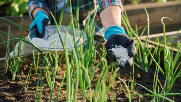 Brasil refém do exterior? A verdade sobre a nossa dependência de fertilizantes em tempos de guerra