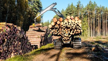 Leia mais Conexão Brasil-Europa abre mercado internacional para a madeira nacional
