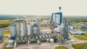 Floresta, mar e sol: indústria no Maranhão se beneficia da localização do estado