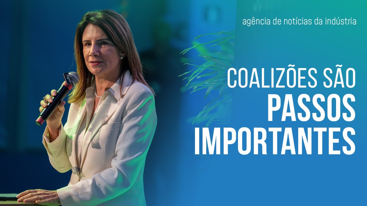 "Transformar agenda climática em competitividade exige cooperação, planejamento e ação", diz Ana Toni