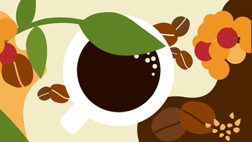 No Dia Nacional do Café, conheça as indicações geográficas que protegem o café brasileiro