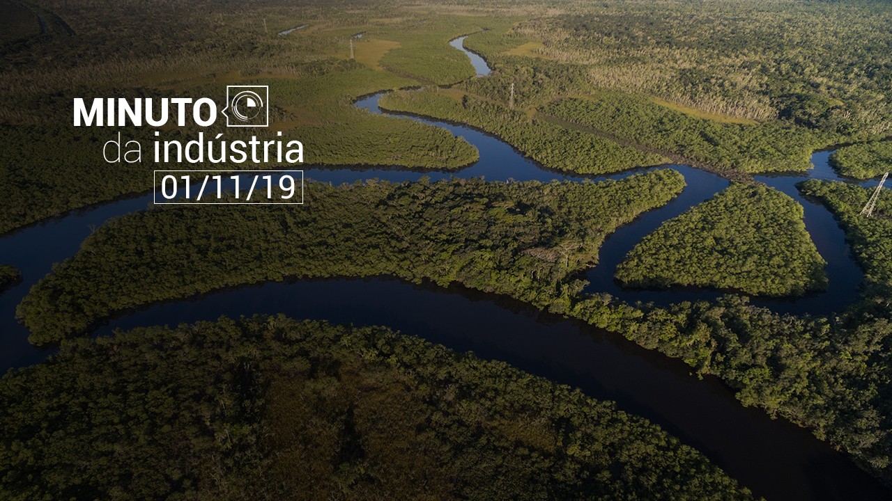 VÍDEO: Minuto da Indústria apresenta o projeto Amazônia +21