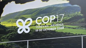 Sistema Indústria apresenta inovação na Amazônia e debate financiamento na COP17
