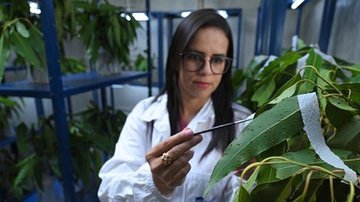 Inteligência artificial ajuda controle de pragas para produção de aço mais sustentável