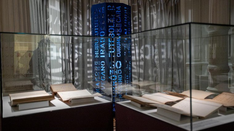 Palavras que voam: exposição no SESI Lab celebra 50 anos do Dicionário Aurélio