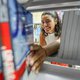 Graduação gratuita para formar professores: inscrições abertas para o vestibular do SESI