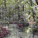 El Niño e a seca na Amazônia: o custo da inércia estatal
