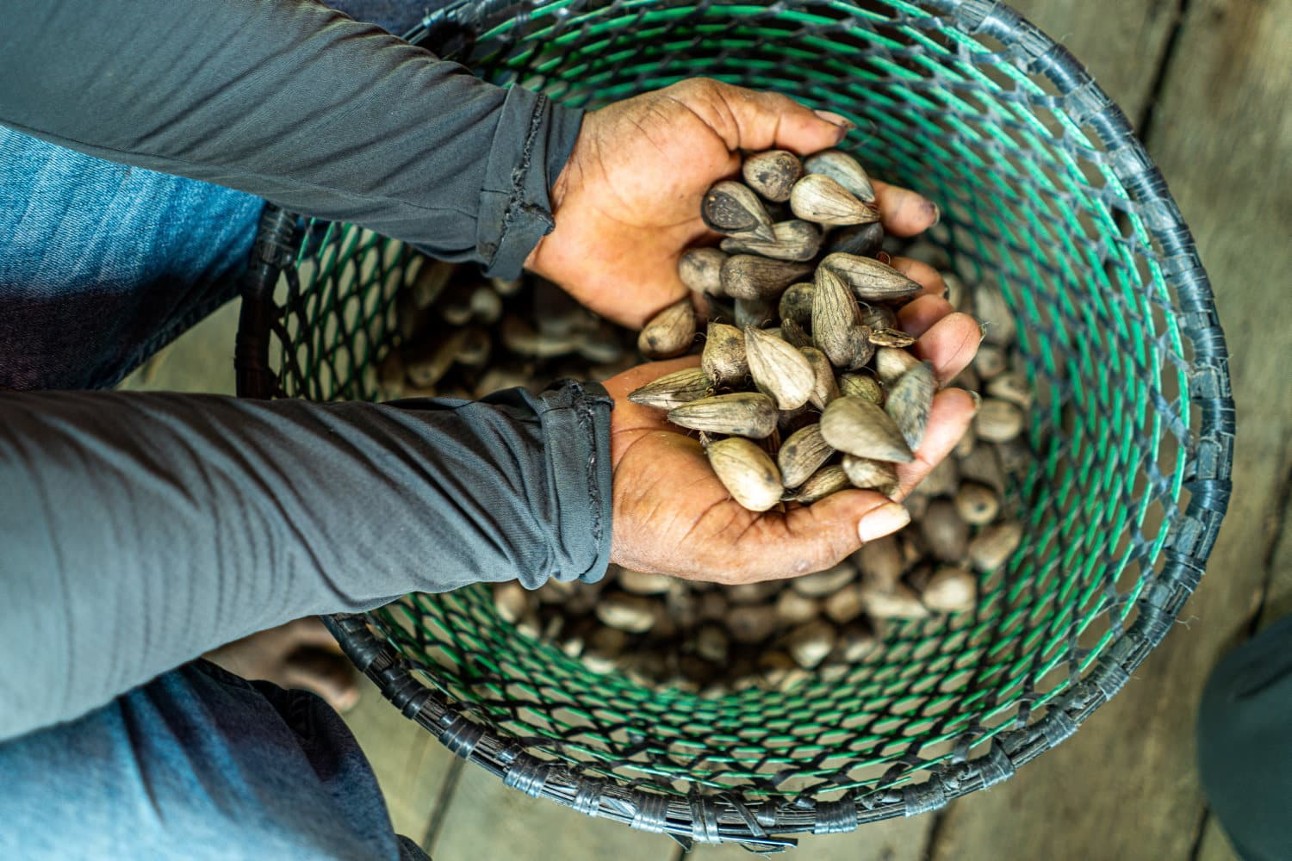 A pesquisa da CNI aponta que 20% das indústrias brasileiras incluem recursos vegetais, animais ou microrganismos na formulação de seus produtos