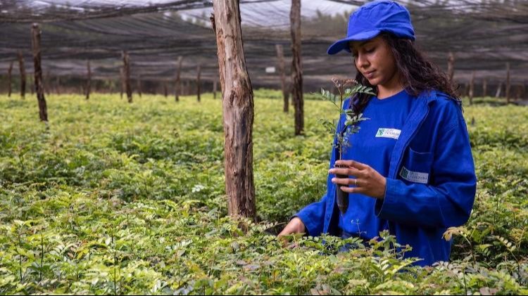 Foto: Centroflora/Divulgação